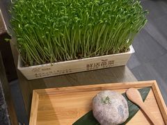 鲜活豌豆苗-湊湊火锅·茶憩(打浦桥日月光店)