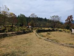 -塔川景区