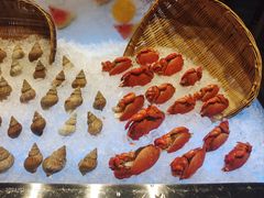 -九寨鲁能希尔顿度假酒店·開