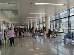 -首都医科大学附属北京天坛医院