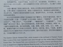 -东郊湿地公园