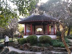 -秋霞圃