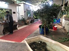 -八仔大富楼·河鲜(西江店)