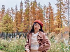 -白鹭湾湿地公园