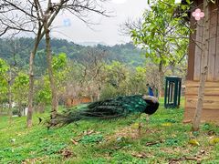 -森波拉奇妙世界