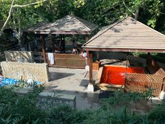 -春晖园度假酒店温泉