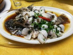 起鱼片蒸罗非鱼-鸽王世家(东华东路店)