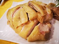 真味白切鸡-粤·向群饭店(泮塘路店)