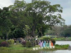 -东莞植物园