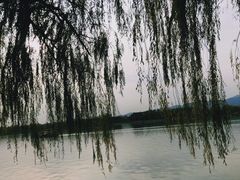 -后海公园