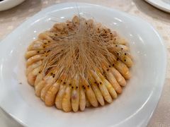 盐水白米虾-顺风海鲜港(金玉兰店)