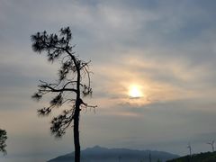 -汕尾风车岛