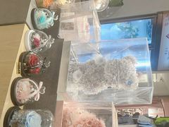 -谷莠子花艺气球派对·绿植造景·花艺沙龙(东海缤纷天地店)
