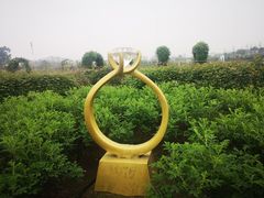 -紫颐香薰山谷景区