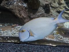 -大连圣亚海洋世界