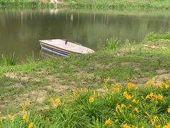 -东郊湿地公园