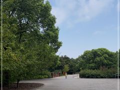 -上海滨江森林公园
