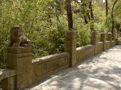 -四门塔风景区