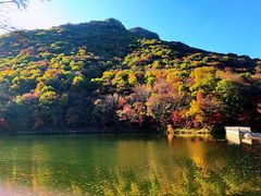 -龙道沟景区