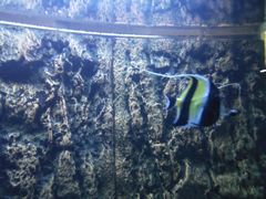 -北戴河圣蓝海洋公园