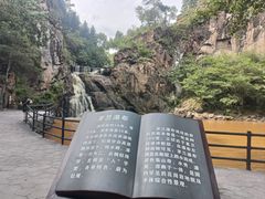 -茅兰沟国家森林公园