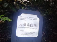 -达蓬山温泉
