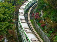 -米氏火鱼·泡椒鱼火锅(李子坝老店)