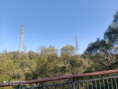 -金鸡山公园