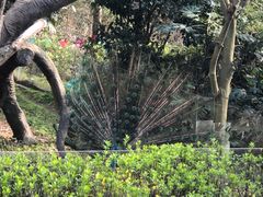-宁波野生动物园