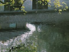 -柳浪闻莺公园