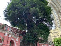 -澳门保安部队博物馆