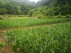 -北京山里寒舍度假酒店