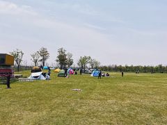 -春花秋色城市公园