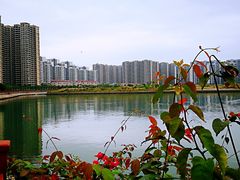 -碧桂园十里银滩