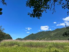 -大九湖