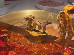-小龙翻大江文化火锅(宽窄店)