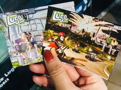 -圣淘沙天际线斜坡滑车