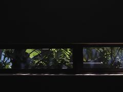 -大芬美术馆