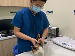 -佩兹宠物医院肿瘤专科·眼科·牙科(黄浦店)