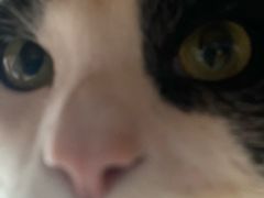 -映画咖啡