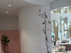 -夏佐CHASEL(横店康庄路店)