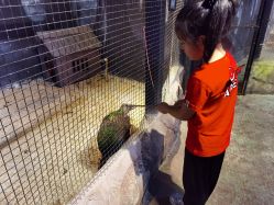 -酷嗒动物文化乐园(cutezoo西溪乐天城店)