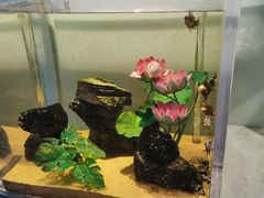 -常州海昌海洋探索馆