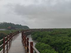 -北海金海湾红树林生态旅游区