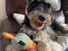 -会宾园·云山宴中餐