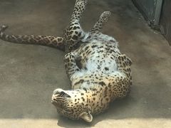 -西安秦岭野生动物园