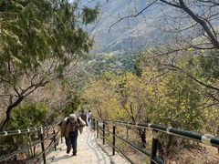 -香山公园-东宫门售票处