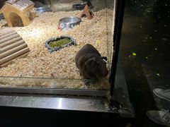-顺德南宏海立方海洋公园