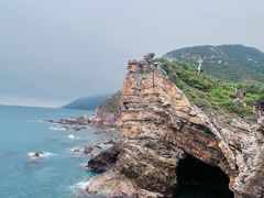 -杨梅坑