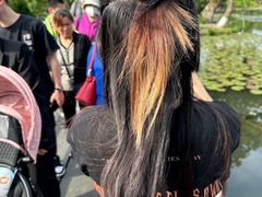 -西湖游船